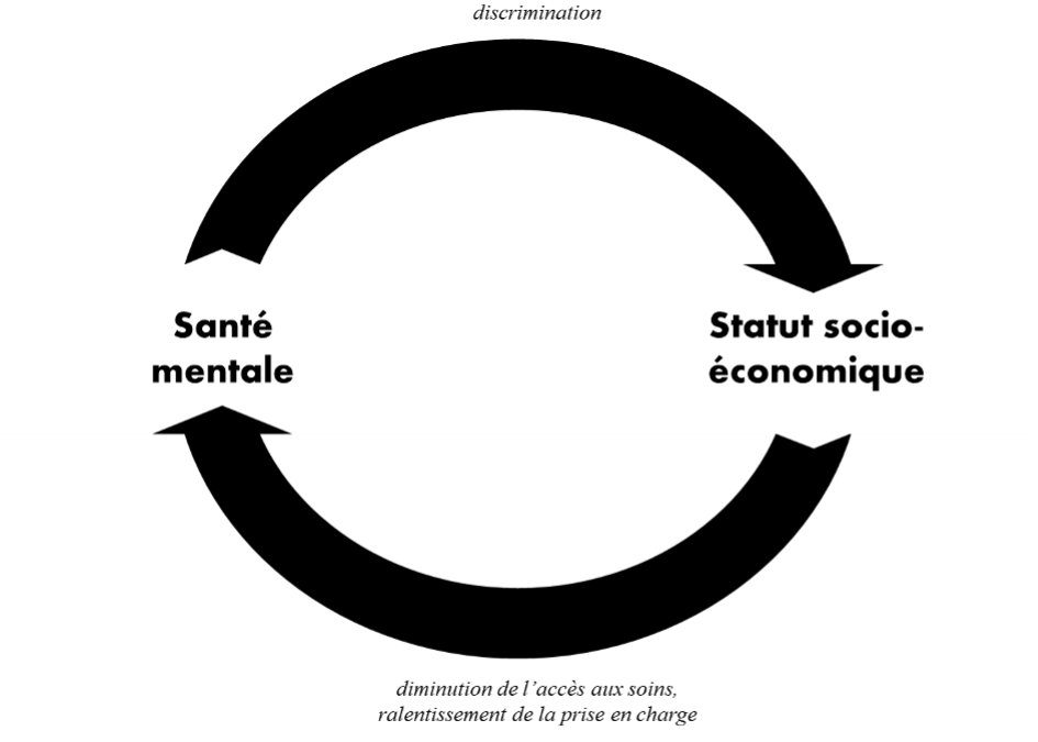 La théorie de sélection sociale pose que la santé mentale détermine le statut socio-économique (par exemple via une stigmatisation des personnes malades), et la théorie de causalité pose que le statut socio-économique détermine la santé (par exemple via l’accès aux soins). Ces deux théories se révèlent être explicatives, et leur pertinence serait plus ou moins importante en fonction des troubles de santé considérés.