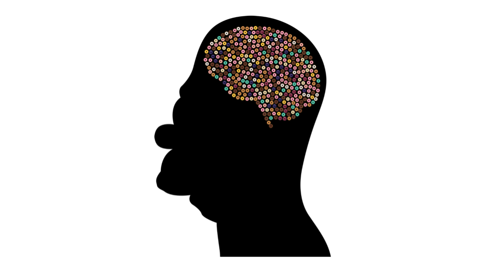 La citation d’Homer Simpson, « Tout le monde est idiot, sauf moi », résume bien le fait que nous avons tous tendance à nous sentir supérieur à autrui.